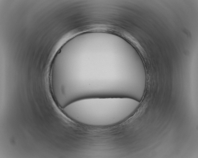 X0000115821475200911131055