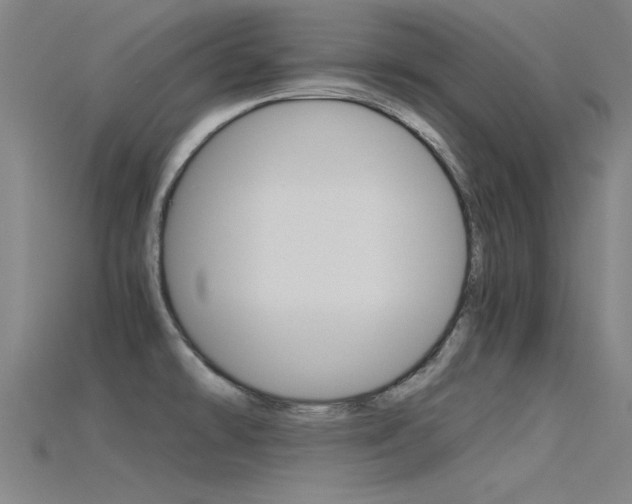 X0000115821478200911131055