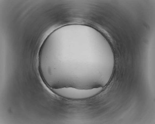 X0000115821479200911131055