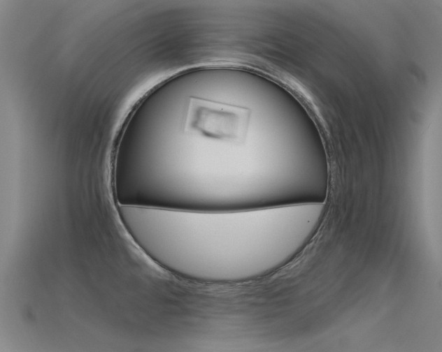 X0000115821480200911131055