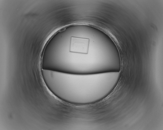 X0000115821484200911131055
