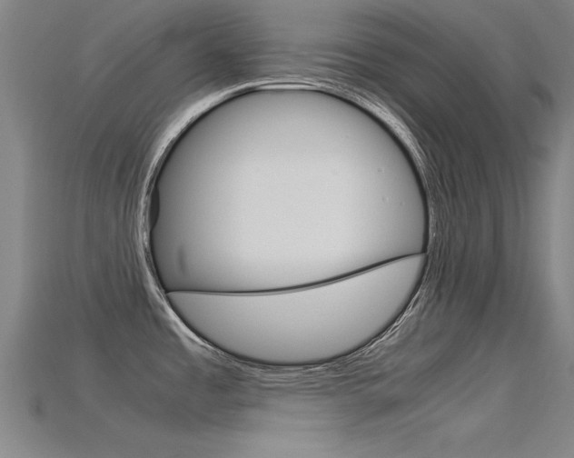 X0000115821485200911131055