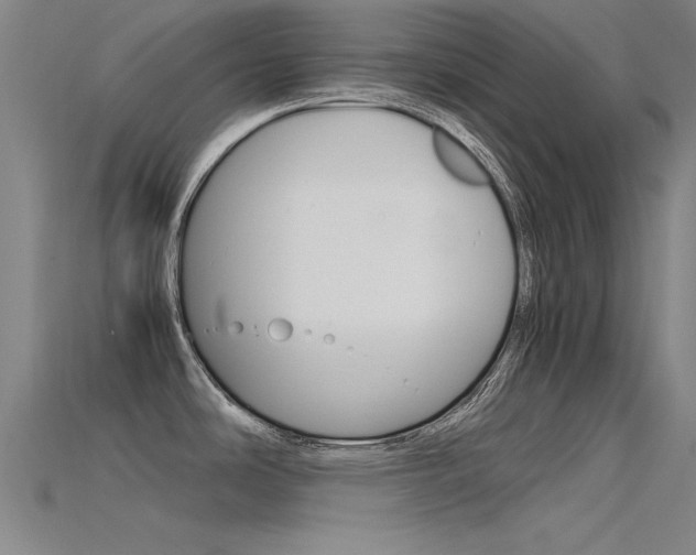 X0000115821486200911131055