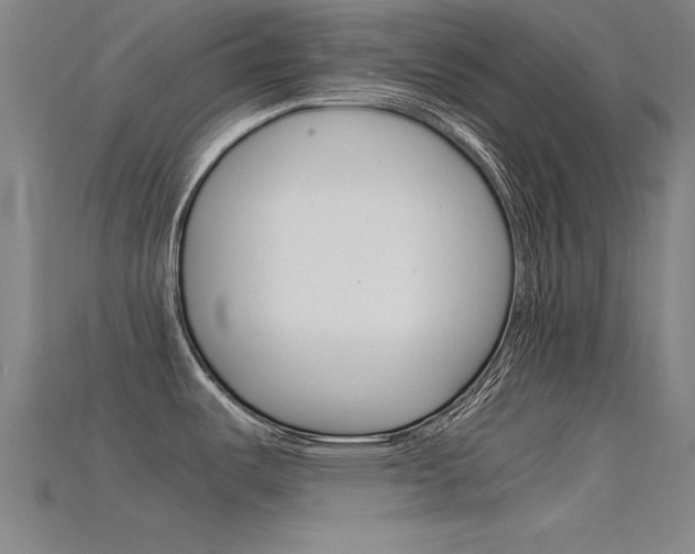 X0000115821487200911131055