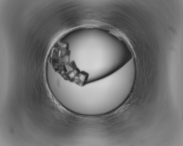 X0000115821488200911131055
