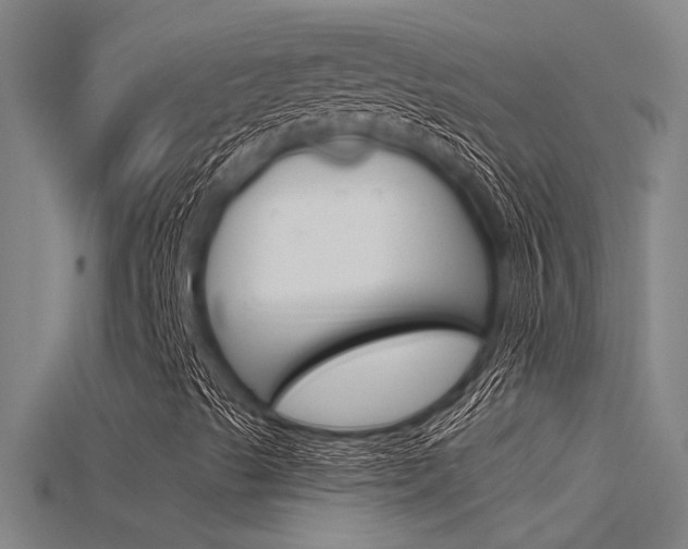 X0000115821489200911131055
