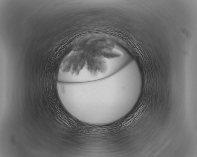 X0000115821490200911131055