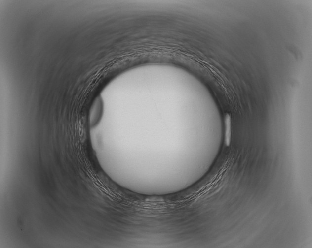 X0000115821491200911131055