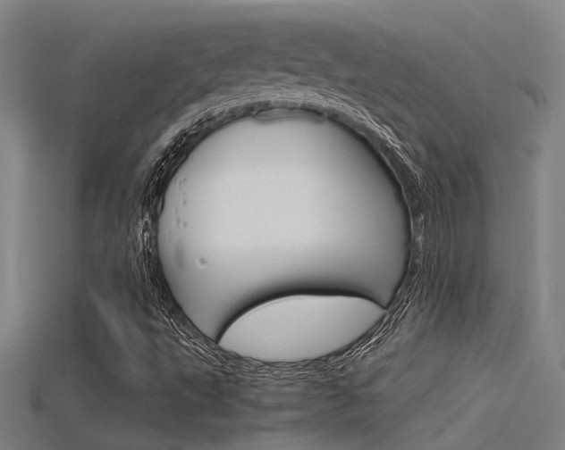 X0000115821495200911131055