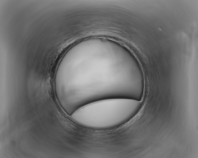 X0000115821497200911131055