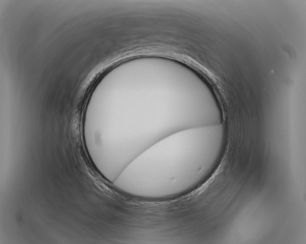 X0000115821498200911131055