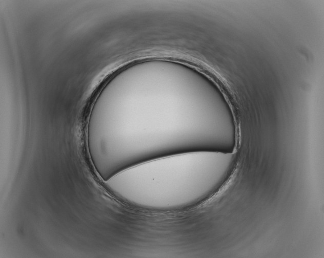 X0000115821501200911131055