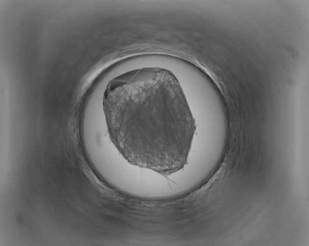 X0000115821503200911131055