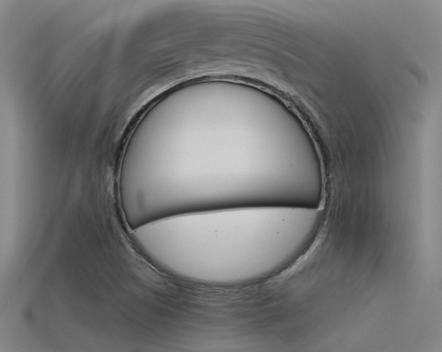 X0000115821505200911131055