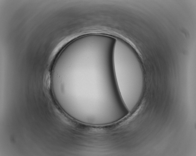 X0000115821509200911131055