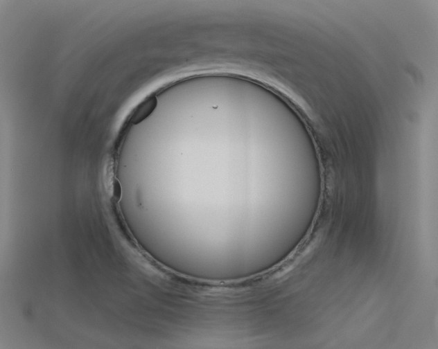 X0000115821510200911131055