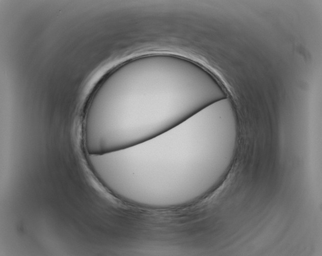 X0000115821511200911131055