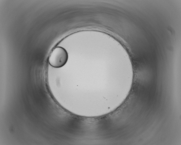X0000115821514200911131055