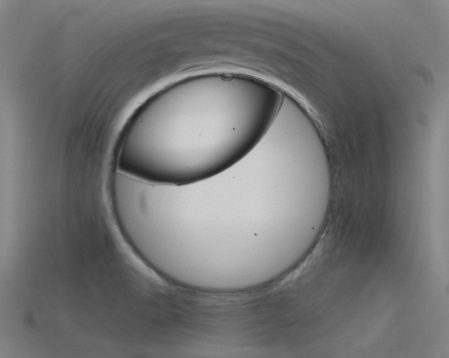 X0000115821518200911131055