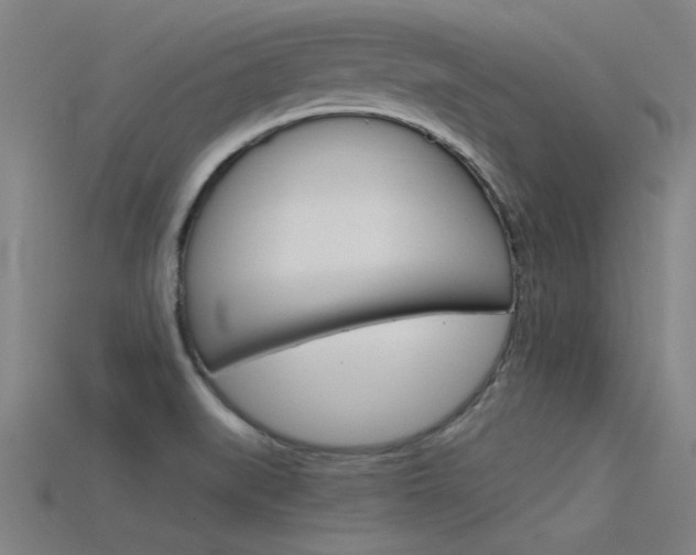 X0000115821519200911131055