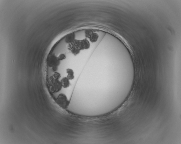 X0000115821522200911131055