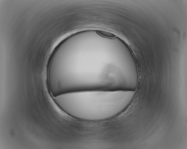 X0000115821523200911131055
