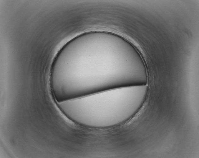 X0000115821525200911131055