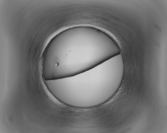 X0000115821526200911131055