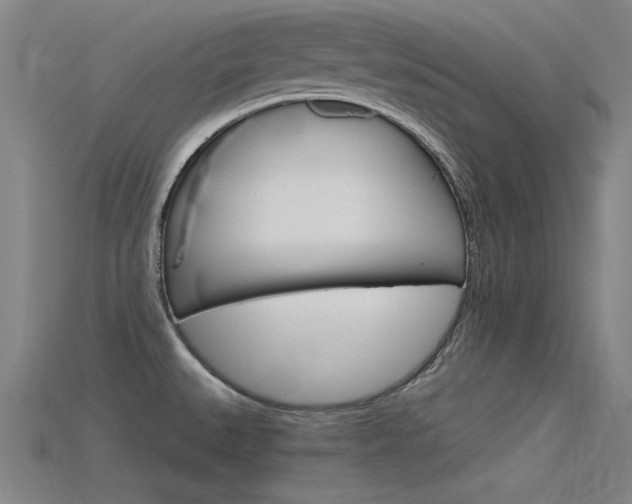 X0000115821527200911131055
