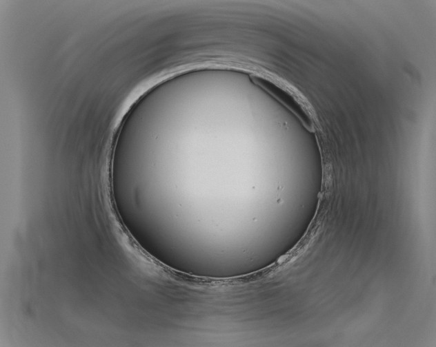 X0000115821530200911131055