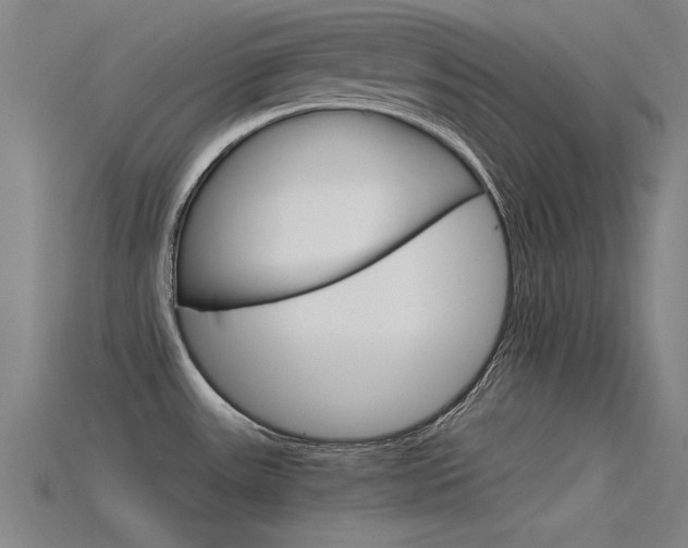 X0000115821531200911131055