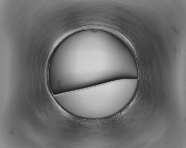 X0000115821533200911131055