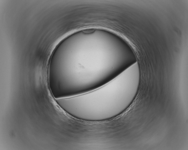 X0000115821534200911131055