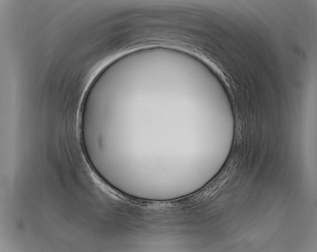 X0000115821535200911131055