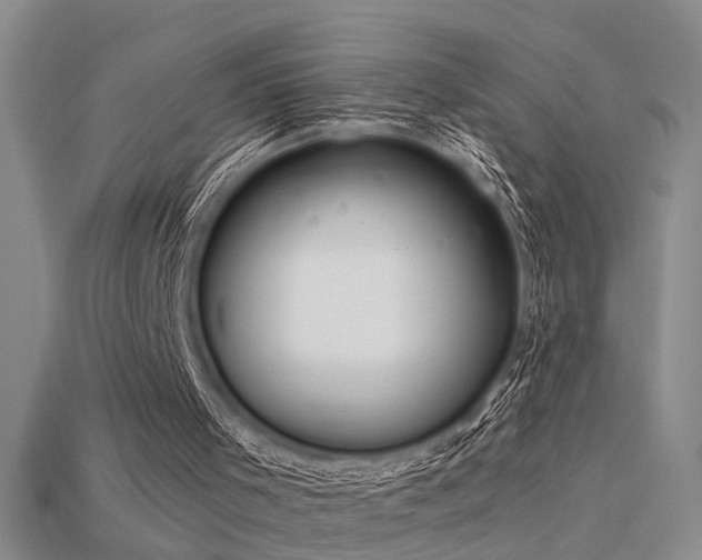 X0000115820001200911131454