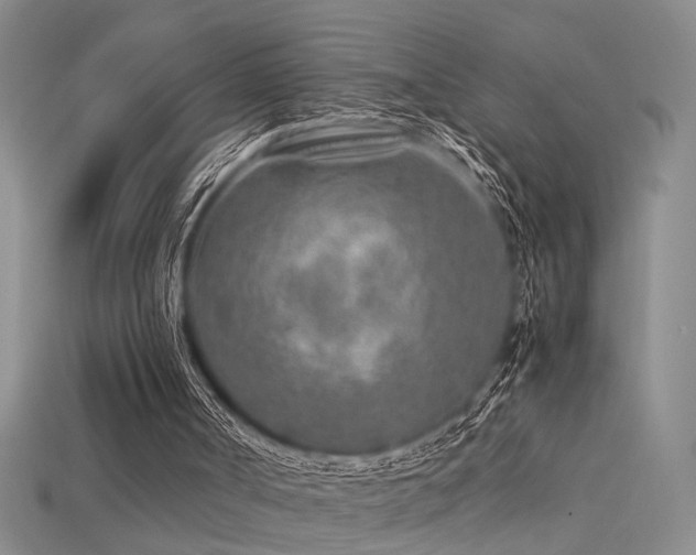 X0000115820002200911131454