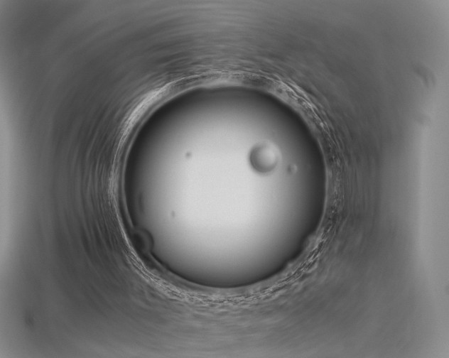 X0000115820003200911131454