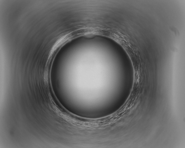 X0000115820004200911131454