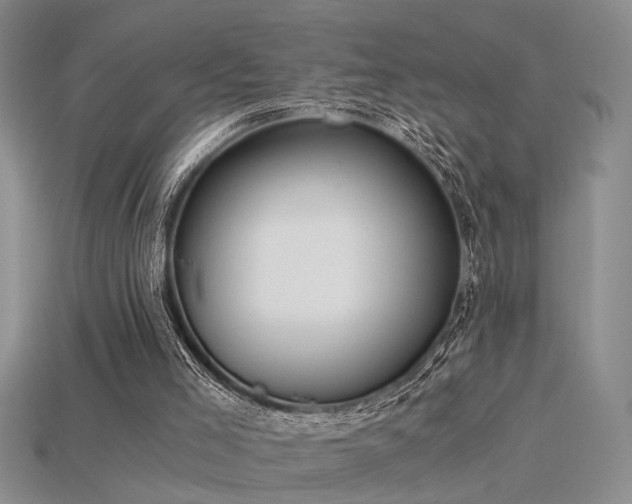 X0000115820005200911131454