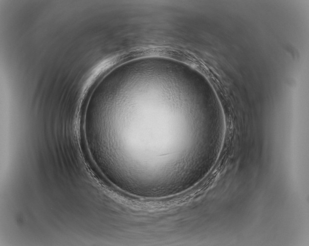 X0000115820006200911131454