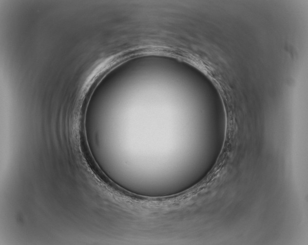 X0000115820007200911131454