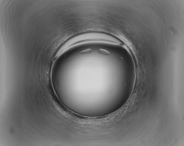 X0000115820009200911131454