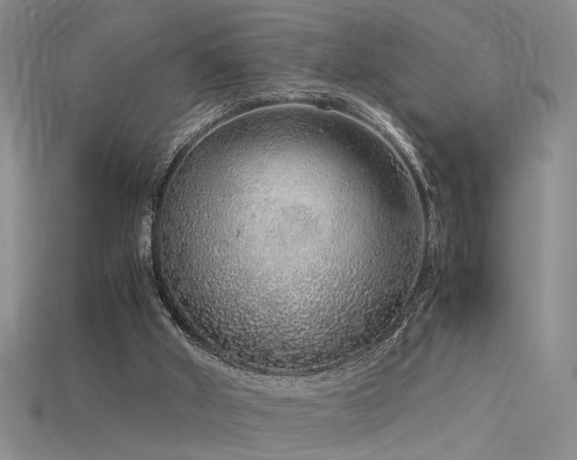 X0000115820010200911131454