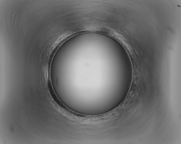 X0000115820011200911131454