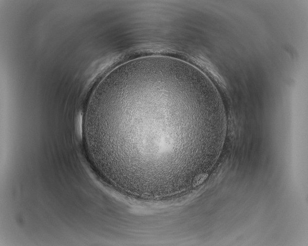 X0000115820014200911131454