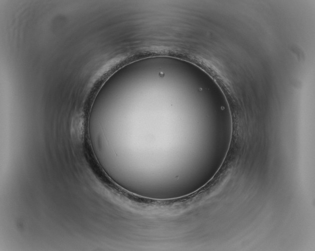 X0000115820016200911131454