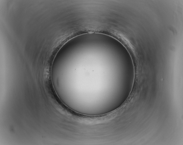 X0000115820017200911131454