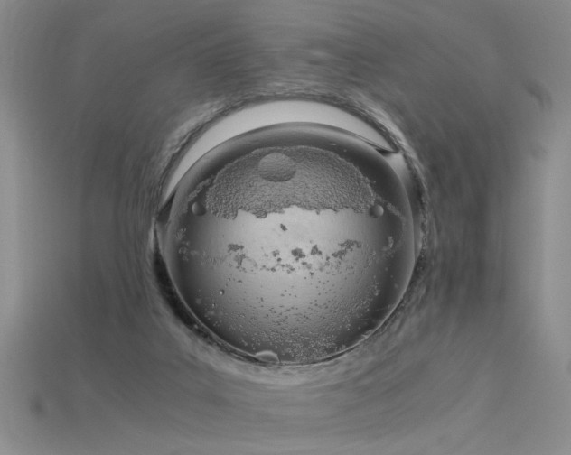 X0000115820019200911131454