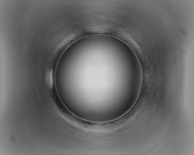 X0000115820020200911131454