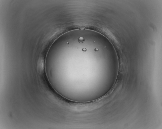 X0000115820021200911131454